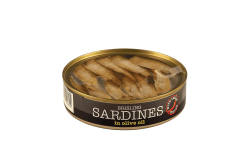 copy of DIP Fíkový